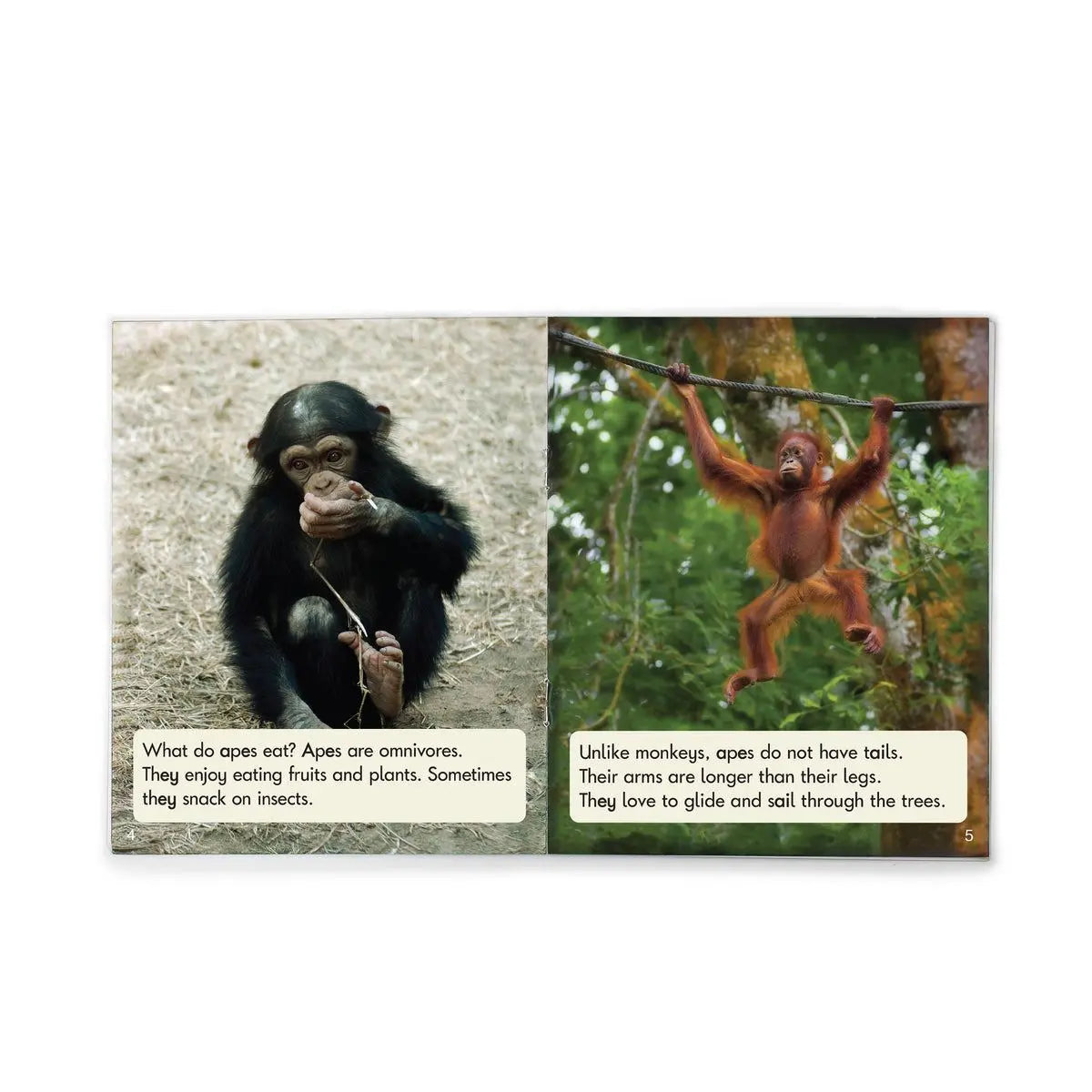 Sound Families Long Vowels Non-Fiction Phase 5.5 | The Dyslexia Shop