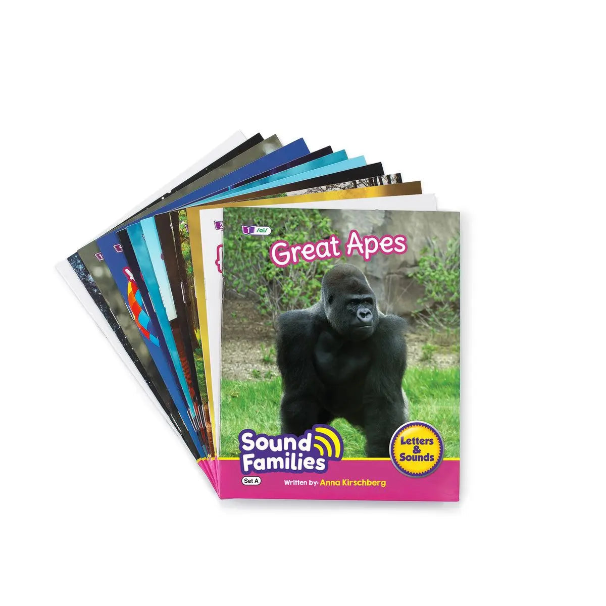 Sound Families Long Vowels Non-Fiction Phase 5.5 | The Dyslexia Shop