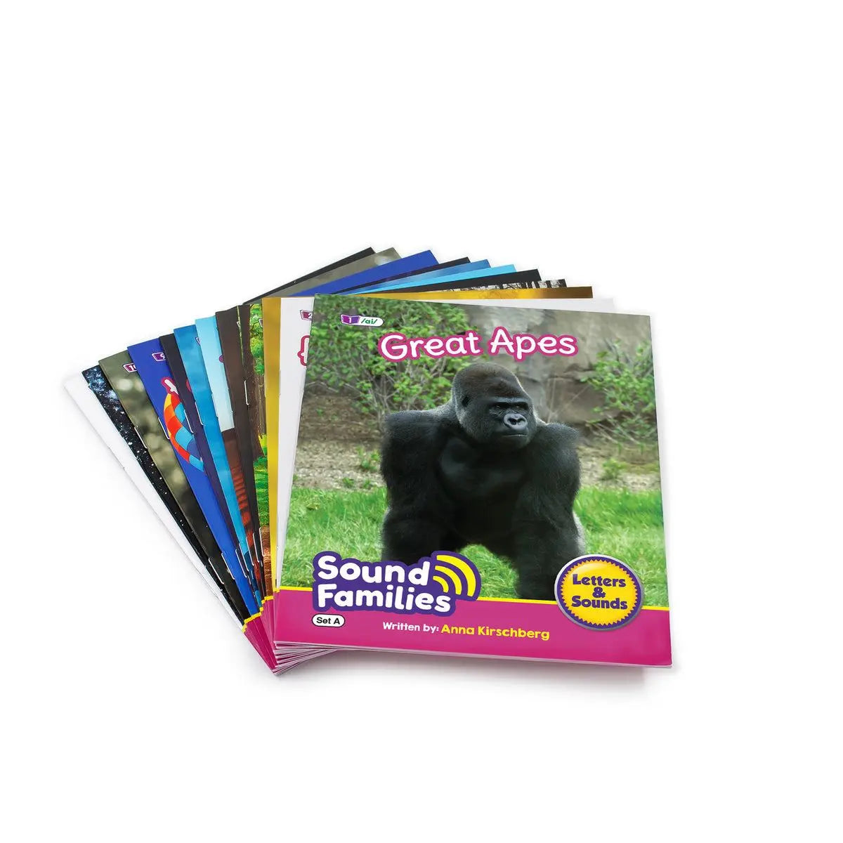 Sound Families Long Vowels Non-Fiction Phase 5.5 | The Dyslexia Shop