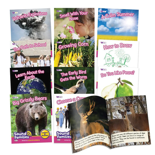Sound Families R-controlled Non-Fiction Phase 5.5 | The Dyslexia Shop