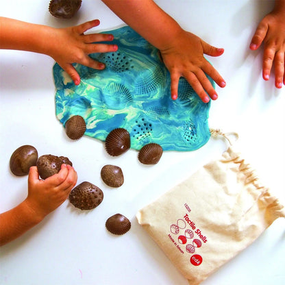 Tactile Shells | The Dyslexia Shop