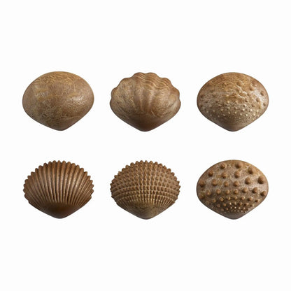 Tactile Shells | The Dyslexia Shop
