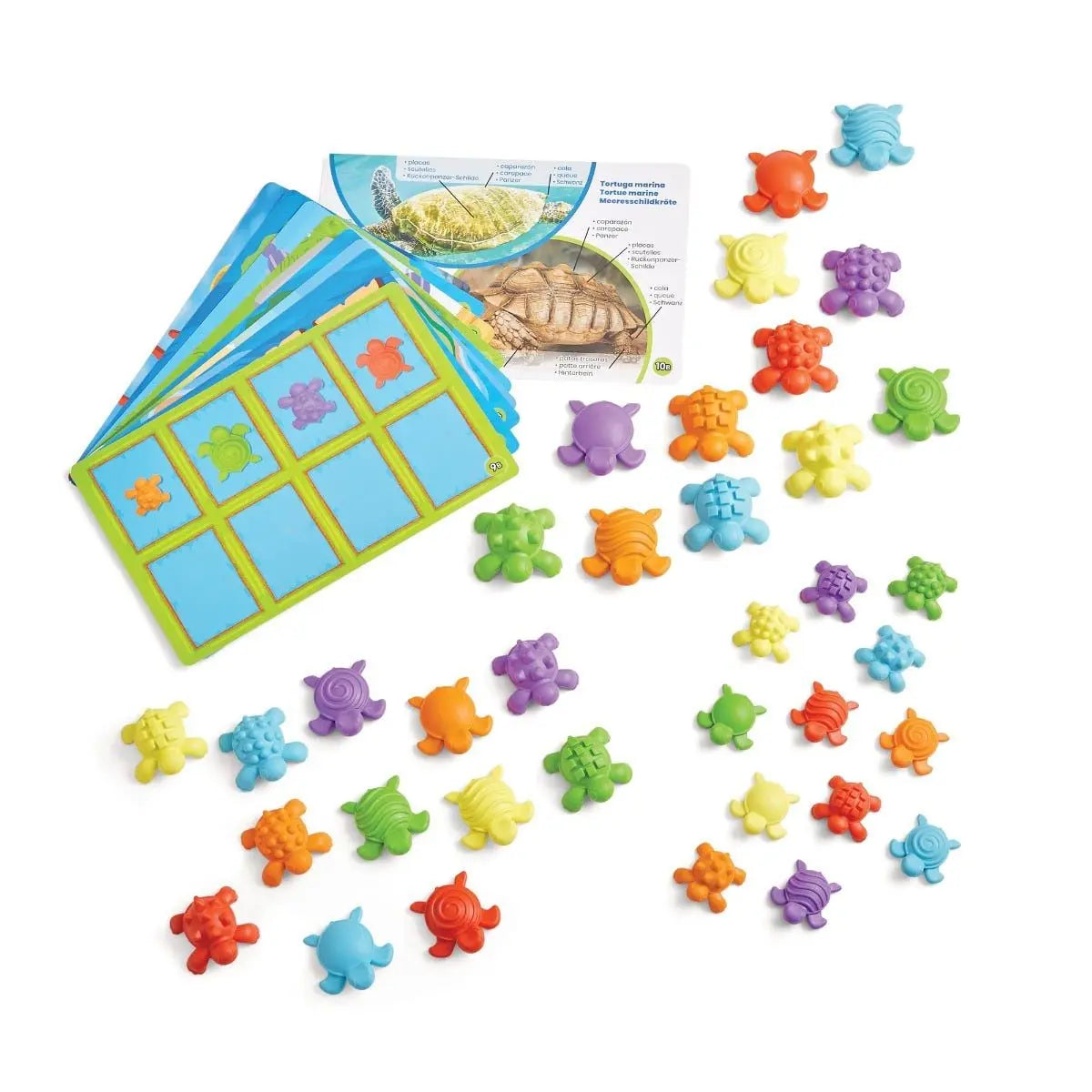 Tactile Turtles Maths Activity Set | The Dyslexia Shop