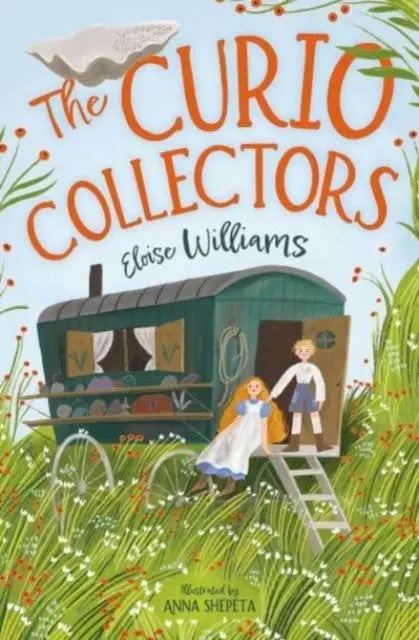 The Curio Collectors | The Dyslexia Shop