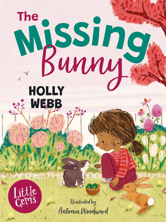 The Missing Bunny | The Dyslexia Shop