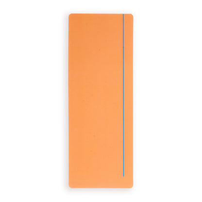 TDS Assorted Reading Aid Ruler
