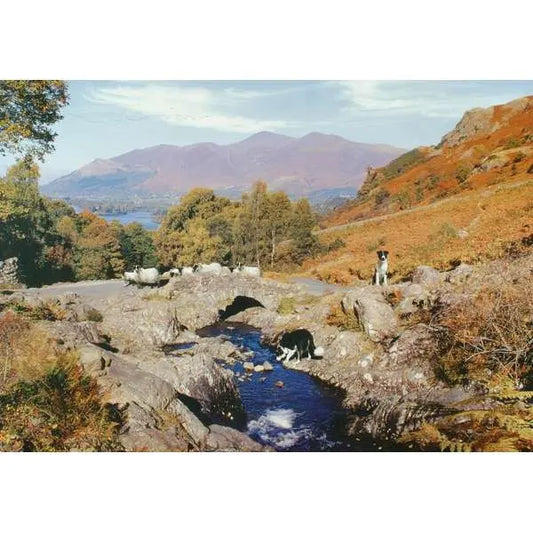 Thirsty Work 1000 Piece Puzzle | The Dyslexia Shop