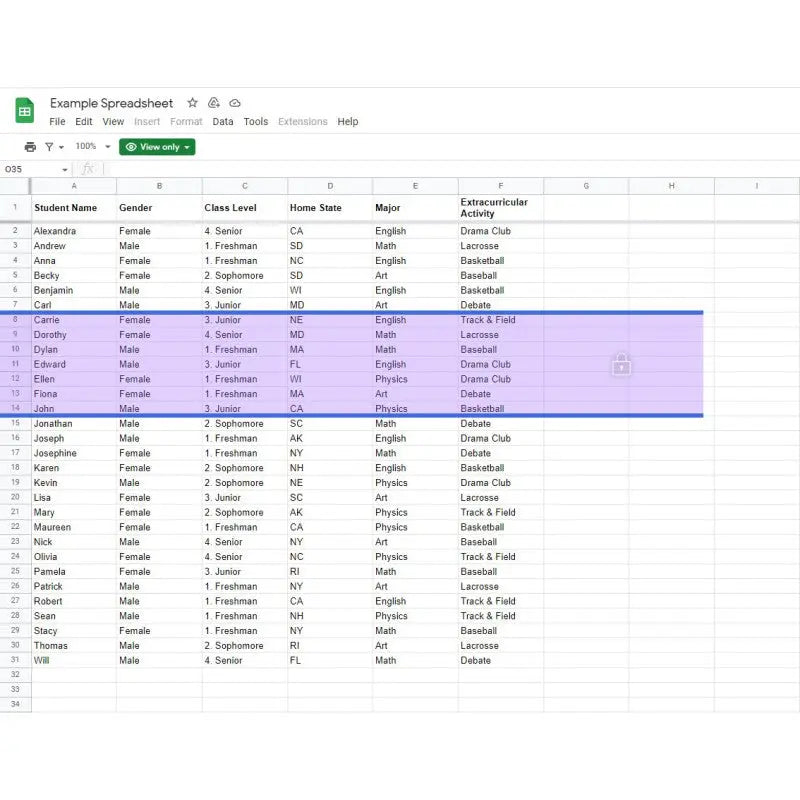 Tint and Track - Virtual Overlay (V2) - Standard | The Dyslexia Shop