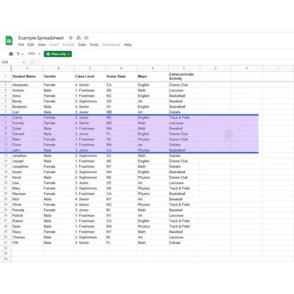 Tint and Track - Virtual Overlay (V2) - Standard | The Dyslexia Shop