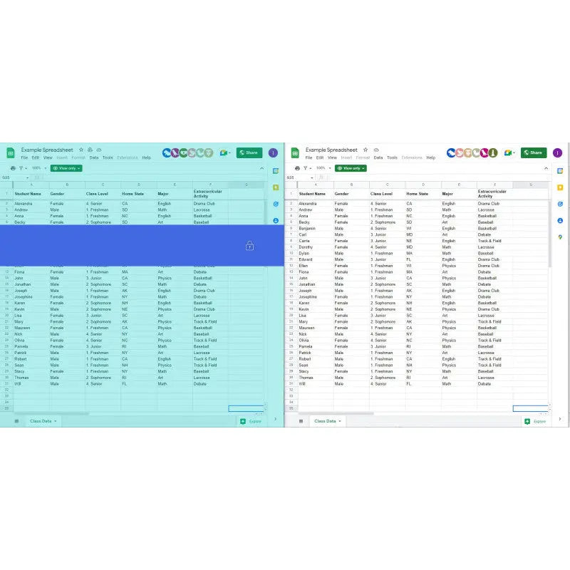 Tint and Track - Virtual Overlay (V2) - Standard | The Dyslexia Shop