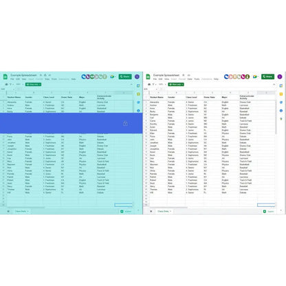 Tint and Track - Virtual Overlay (V2) - Standard | The Dyslexia Shop