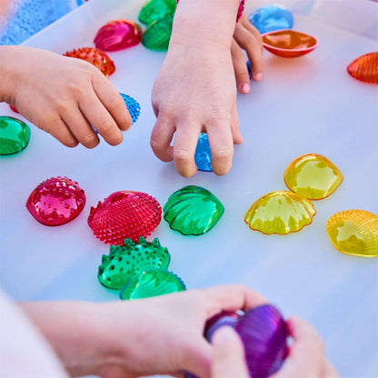 Transparent Tactile Shells | The Dyslexia Shop