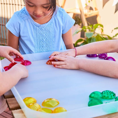 Transparent Tactile Shells | The Dyslexia Shop