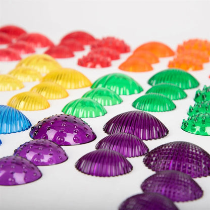 Transparent Tactile Shells | The Dyslexia Shop