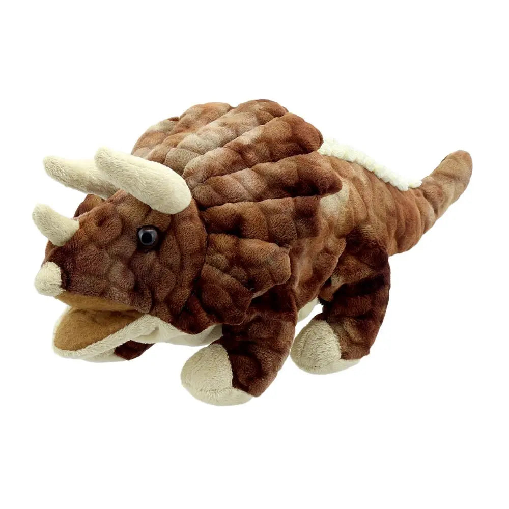 Triceratops – Baby Dinos | The Dyslexia Shop