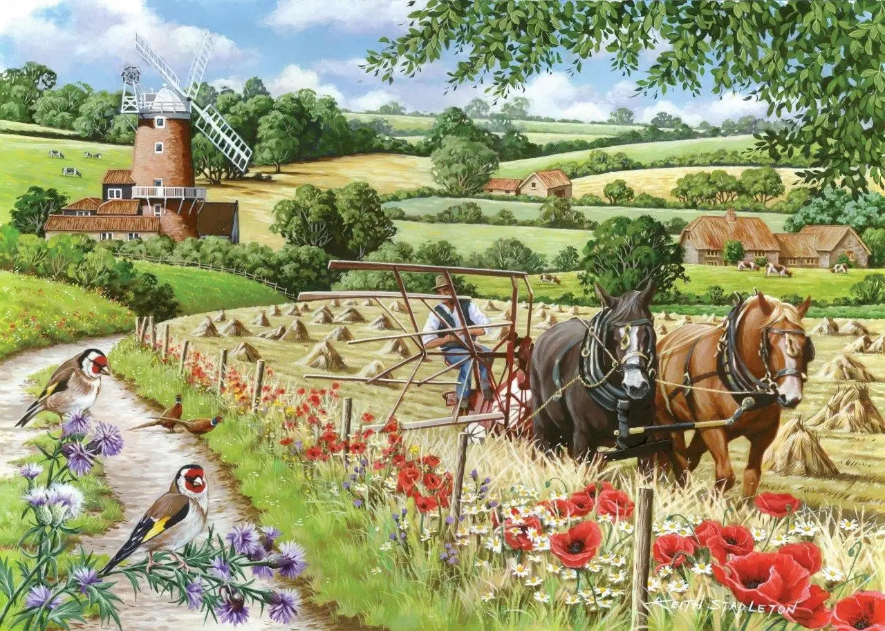 Windmill Lane BIG 500 Puzzle | The Dyslexia Shop