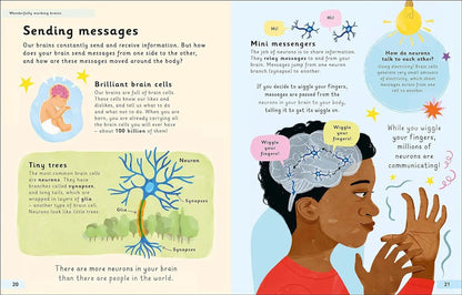 Wonderfully Wired Brains : An Introduction to the World of Neurodiversity | The Dyslexia Shop