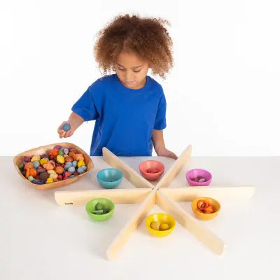Wooden Discovery Dividers | The Dyslexia Shop