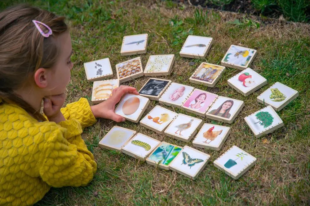 Wooden Lifecycle Tiles - Pk24 | The Dyslexia Shop
