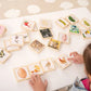 Wooden Lifecycle Tiles - Pk24 | The Dyslexia Shop