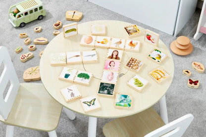 Wooden Lifecycle Tiles - Pk24 | The Dyslexia Shop
