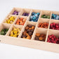 Wooden treasures super set & 14 way tray | The Dyslexia Shop