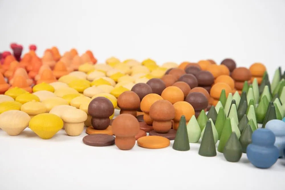 Wooden treasures super set & 14 way tray | The Dyslexia Shop
