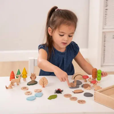 Woodland Trail Set - Pk37 | The Dyslexia Shop