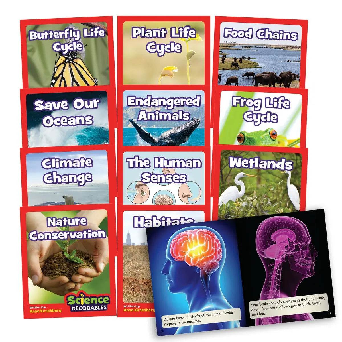 Year 2 Single Kit | The Dyslexia Shop