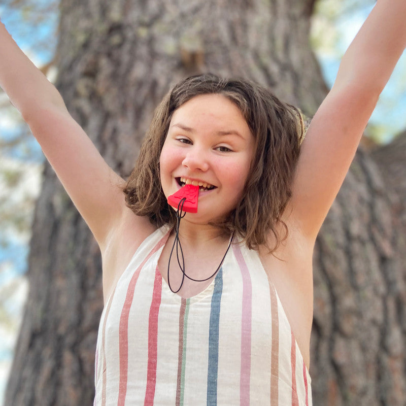 ARK's Pizza Textured Chew Necklace - Sensory Chewelry for Kids & Teens