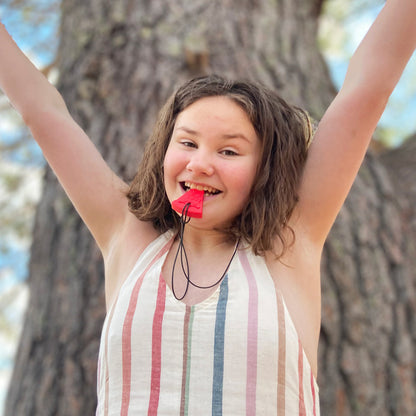 ARK's Pizza Textured Chew Necklace - Sensory Chewelry for Kids & Teens