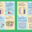 GCSE/KS4 Biology: Osmosis - Topic Pack