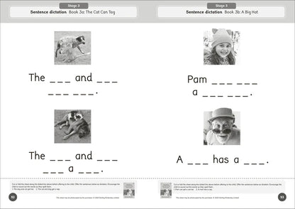 Dandelion World Reading and Writing Activities for Stages 1-7