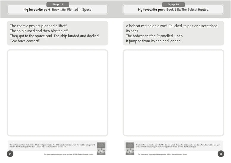 Dandelion World Reading and Writing Activities for Stages 16-20