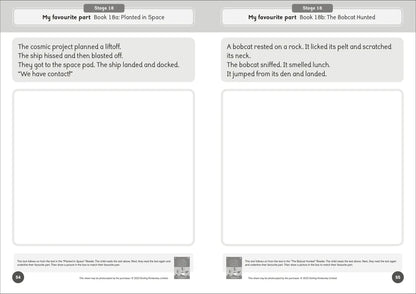 Dandelion World Reading and Writing Activities for Stages 16-20