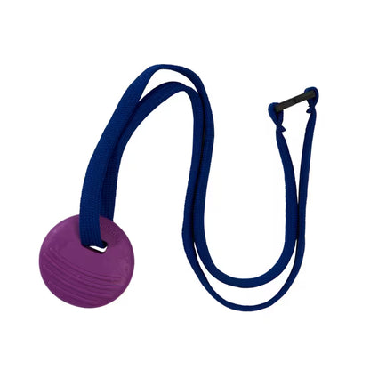 Chewbuddy™ Disc - Twin Pack