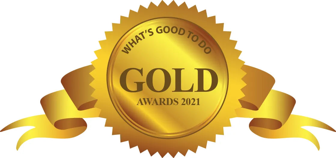 Coding Critters® MagiCoders: Blazer the Dragon