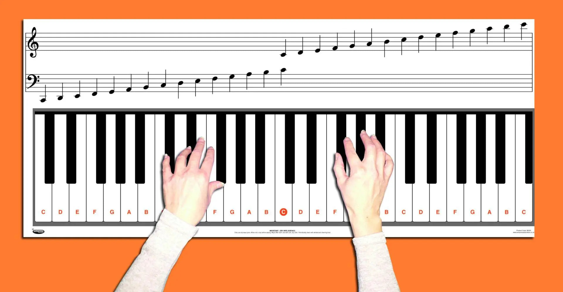 4 Octave Keyboard & Note Chart With Full Size Keys | The Dyslexia Shop