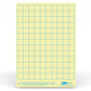 Show-Me - A4 Gridded Tinted Drywipe Boards