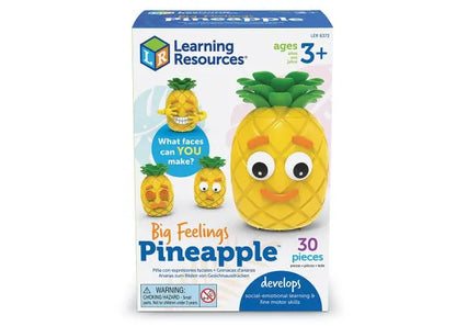 Big Feelings Pineapple™ | The Dyslexia Shop
