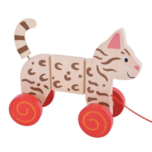 Cat Pull Along | The Dyslexia Shop