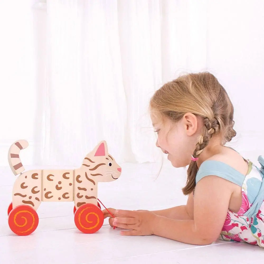 Cat Pull Along | The Dyslexia Shop