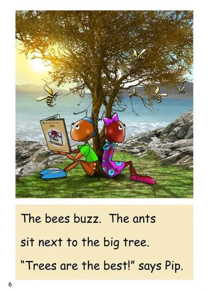 Dandelion Readers, Level 1 ‘The Mail’ | The Dyslexia Shop