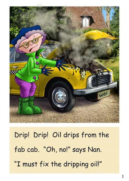 Dandelion Readers, Level 1 ‘The Mail’ | The Dyslexia Shop