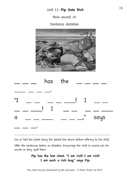 Dandelion Readers, Set 1 Units 11-20, Reading & Writing Activities | The Dyslexia Shop