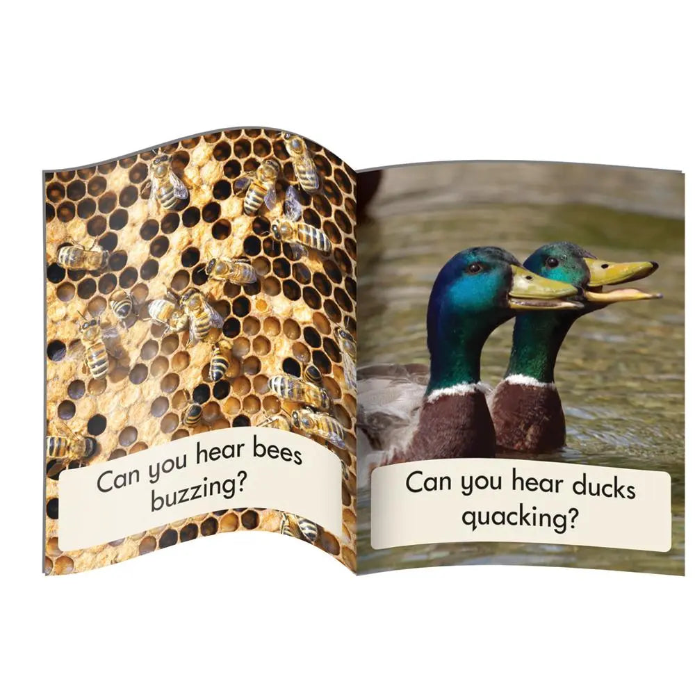 Decodable Readers Phase 3 - Phonics Non-Fiction | The Dyslexia Shop