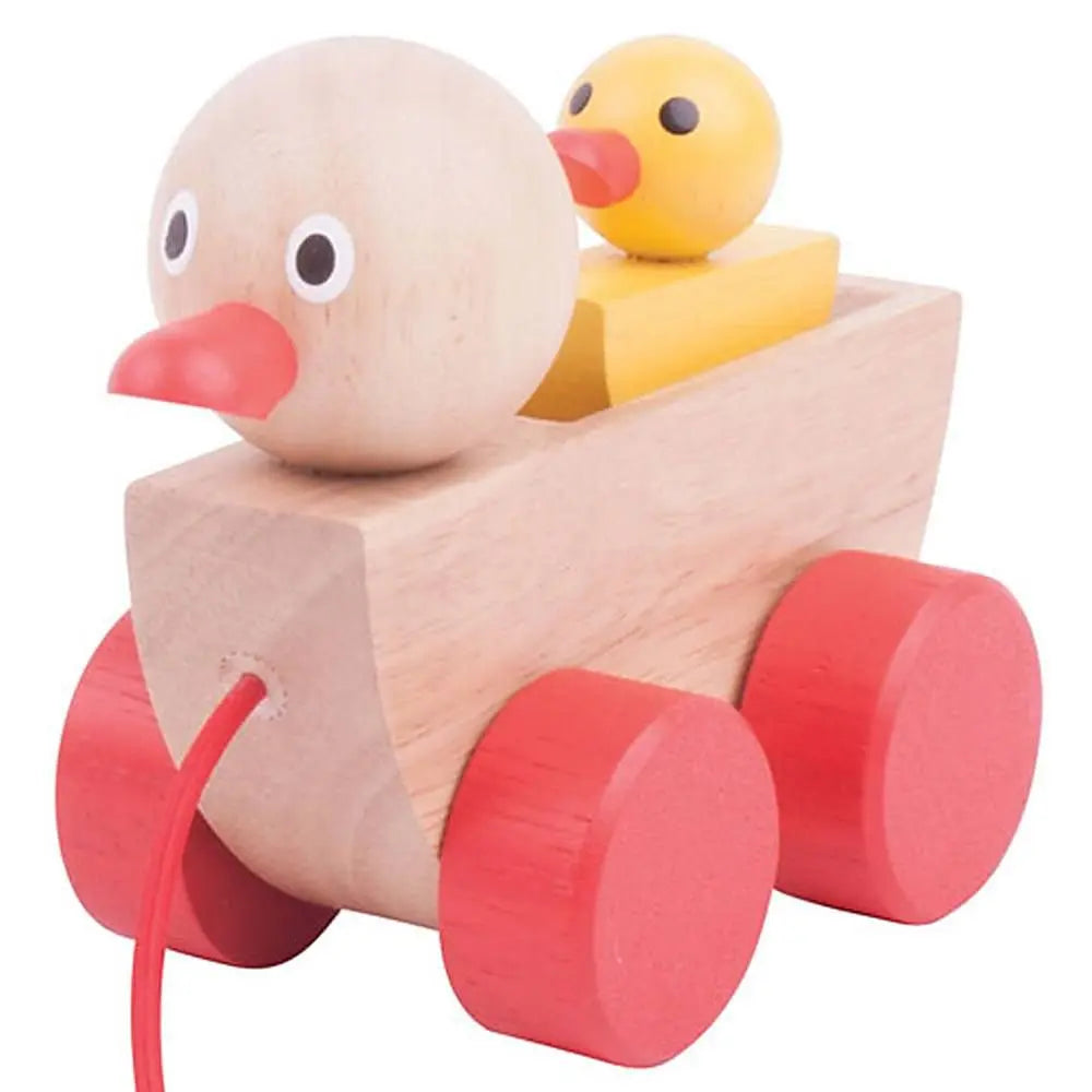 Duck and Duckling | The Dyslexia Shop