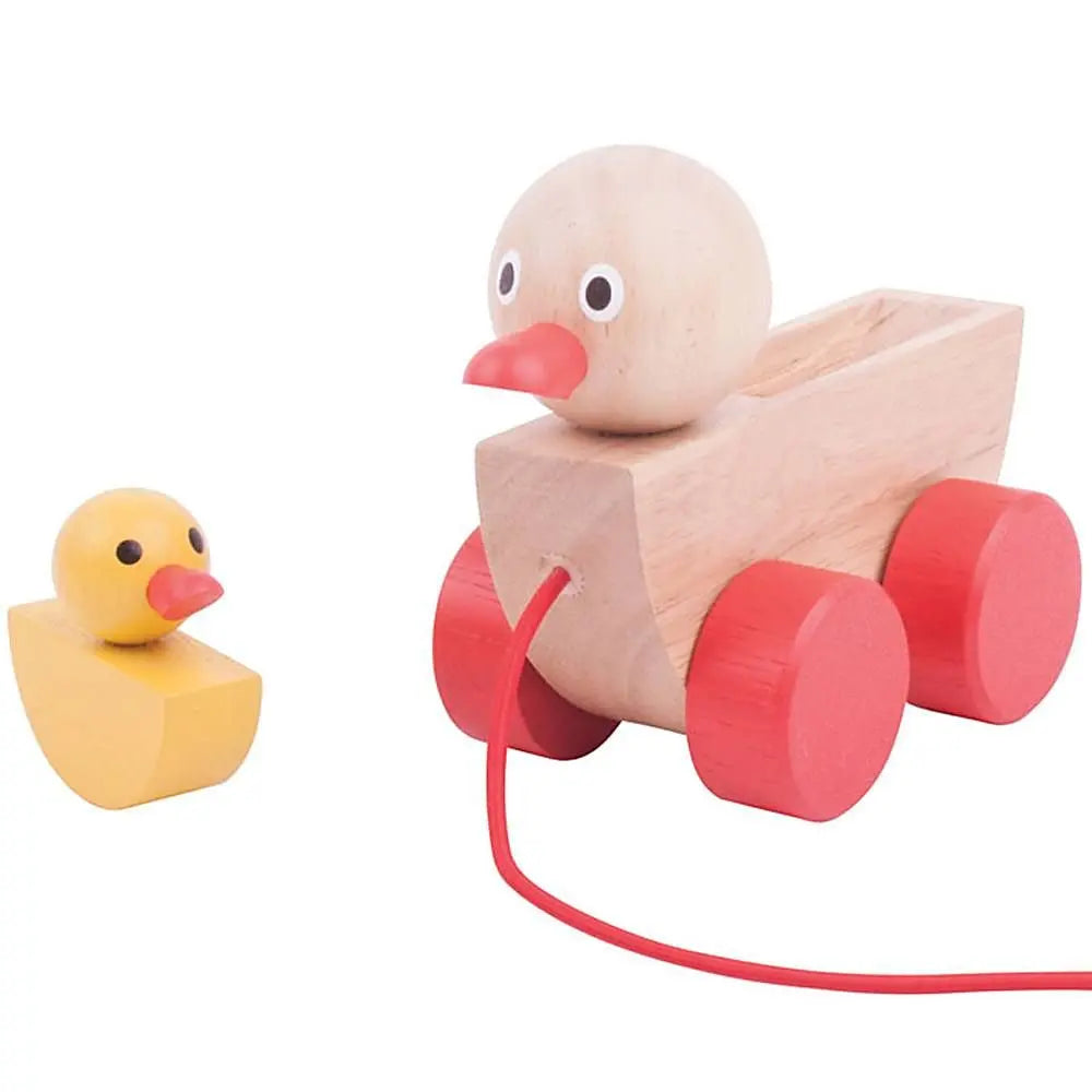 Duck and Duckling | The Dyslexia Shop