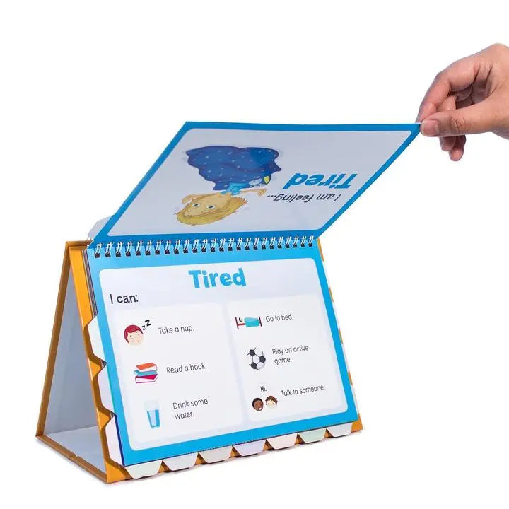 Feelings Flips | The Dyslexia Shop