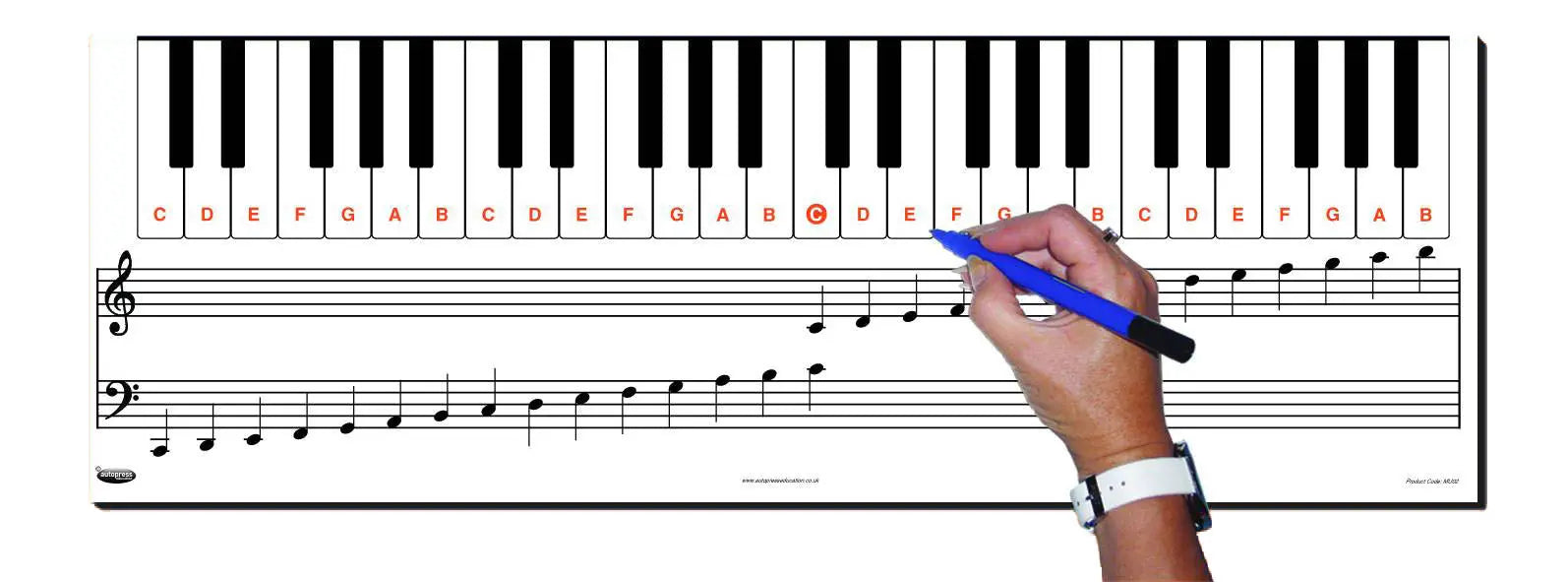 Keyboard Note Set Up Keyboard Note Chart - Autopress | The Dyslexia Shop